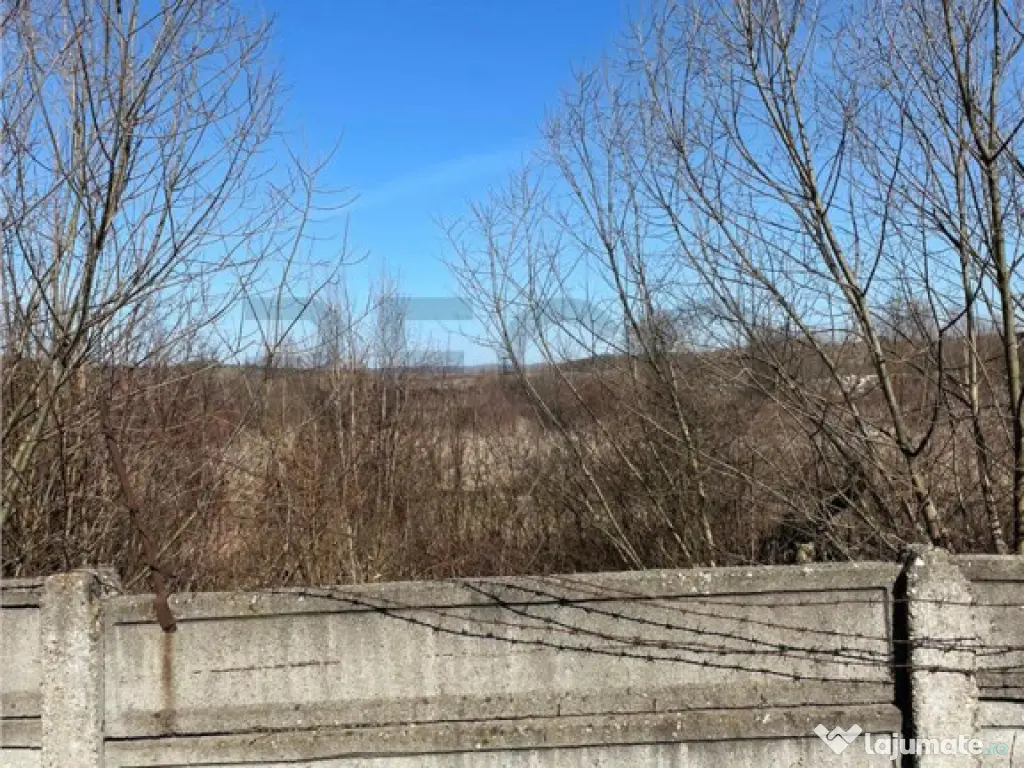 RECO Teren cu Potential Turistic Ridicat 