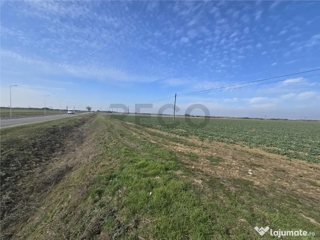 RECO Teren in Nojorid 