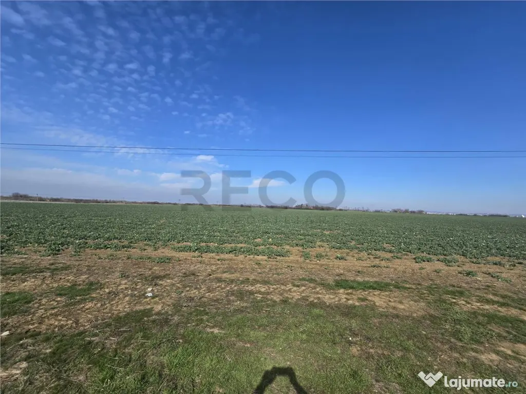 RECO Teren in Nojorid 