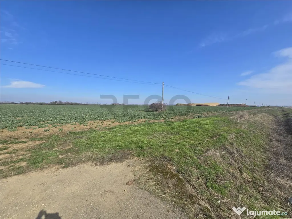 RECO Teren in Nojorid 