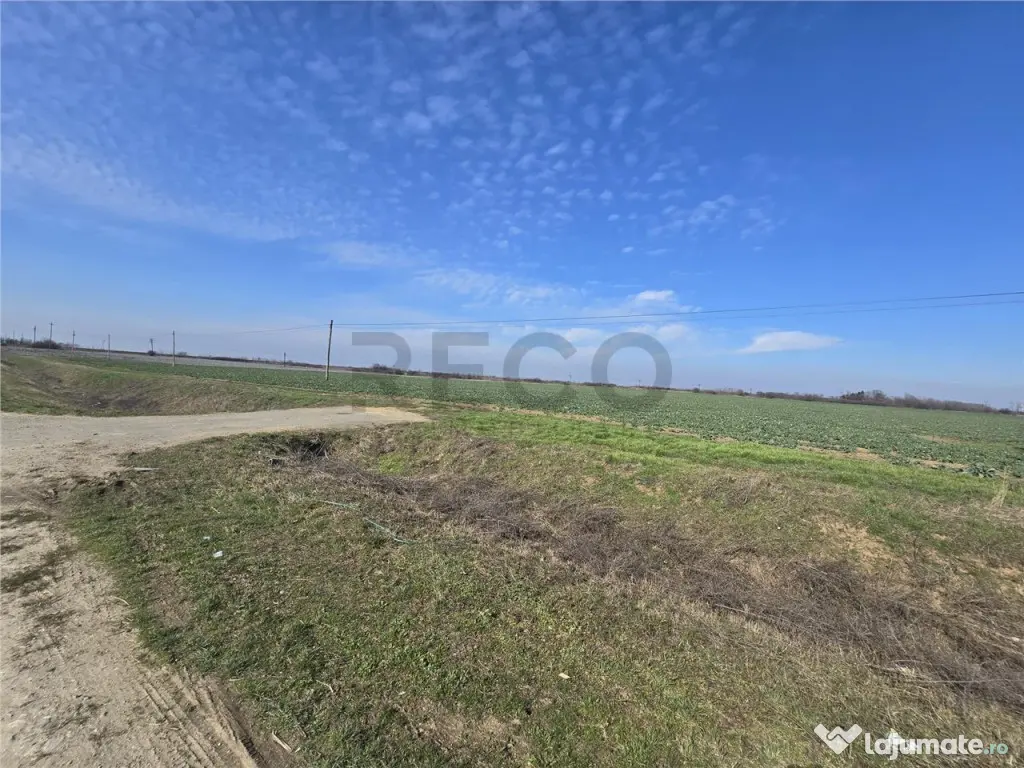 RECO Teren in Nojorid 