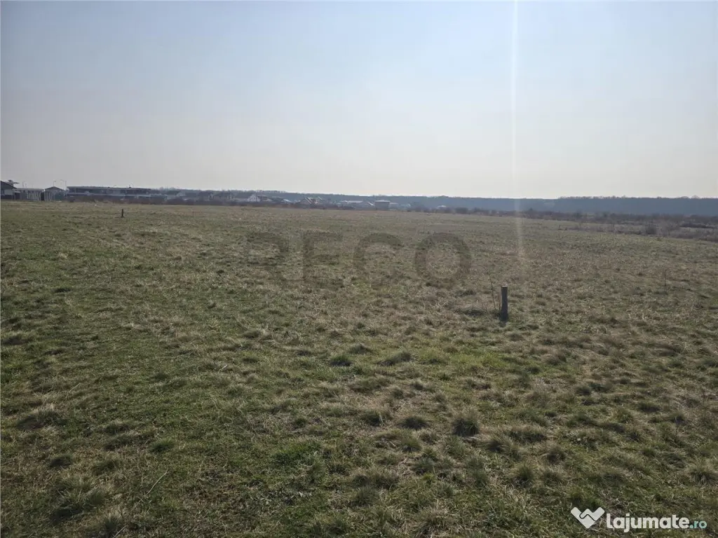 RECO Teren Grigorescu