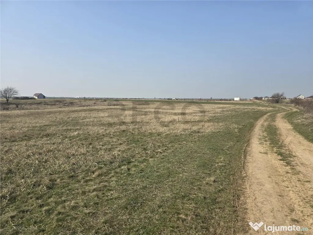 RECO Teren Grigorescu 