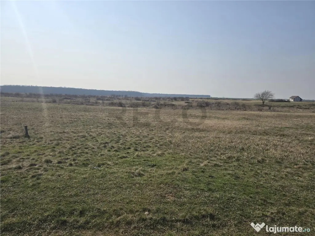 RECO Teren Grigorescu 