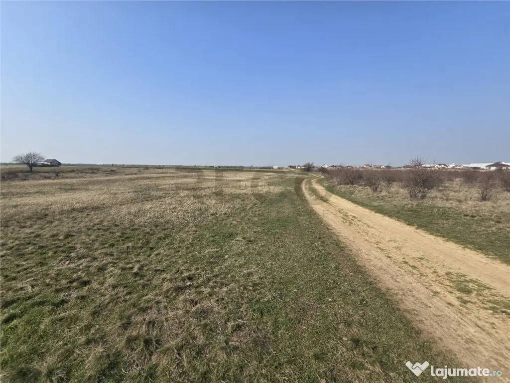 RECO Teren Grigorescu 