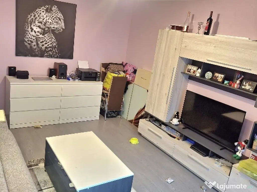 Nufărul, lângă Lotus- 2 camere,et.1 ,mobilat 