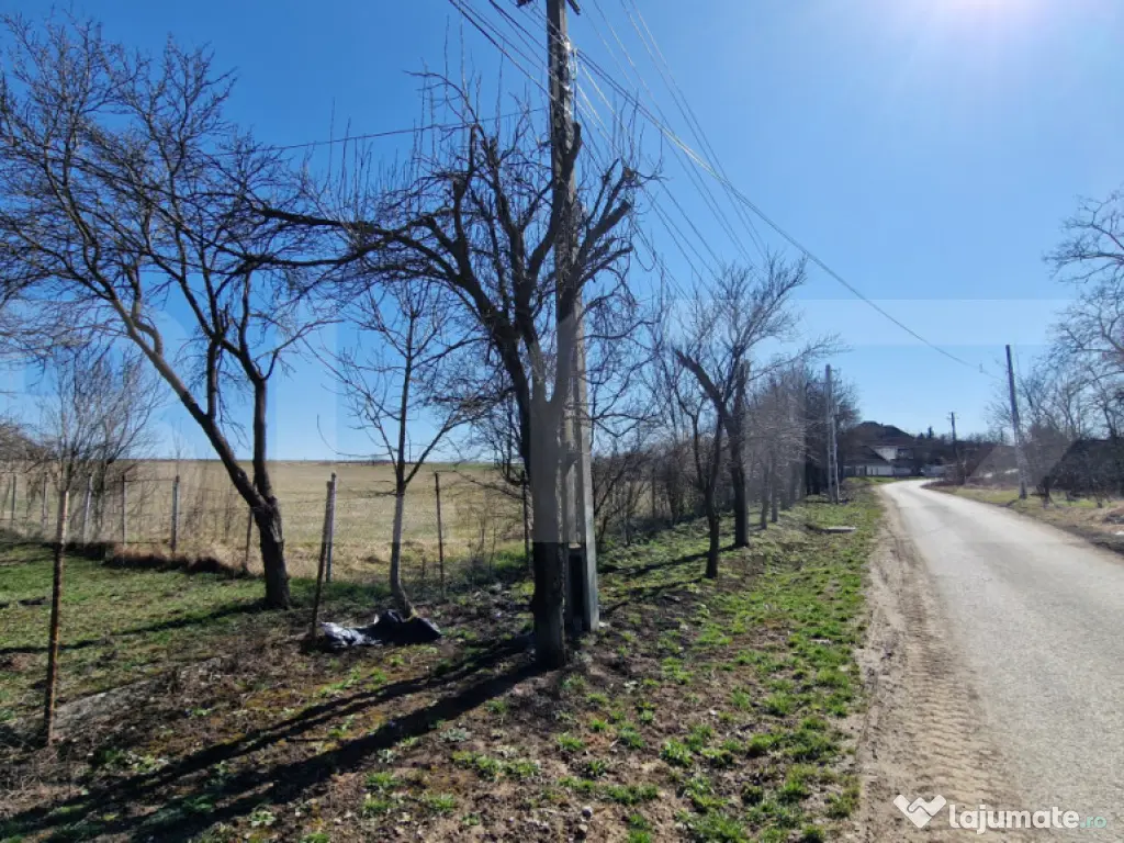 Oportunitate de investitie! 3 ha, 102m front, intravilan, ut 