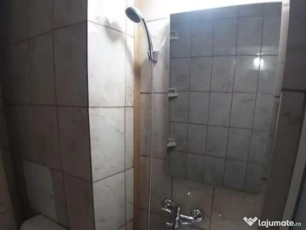 Brancoveanu metrou si parc micuta cochets 