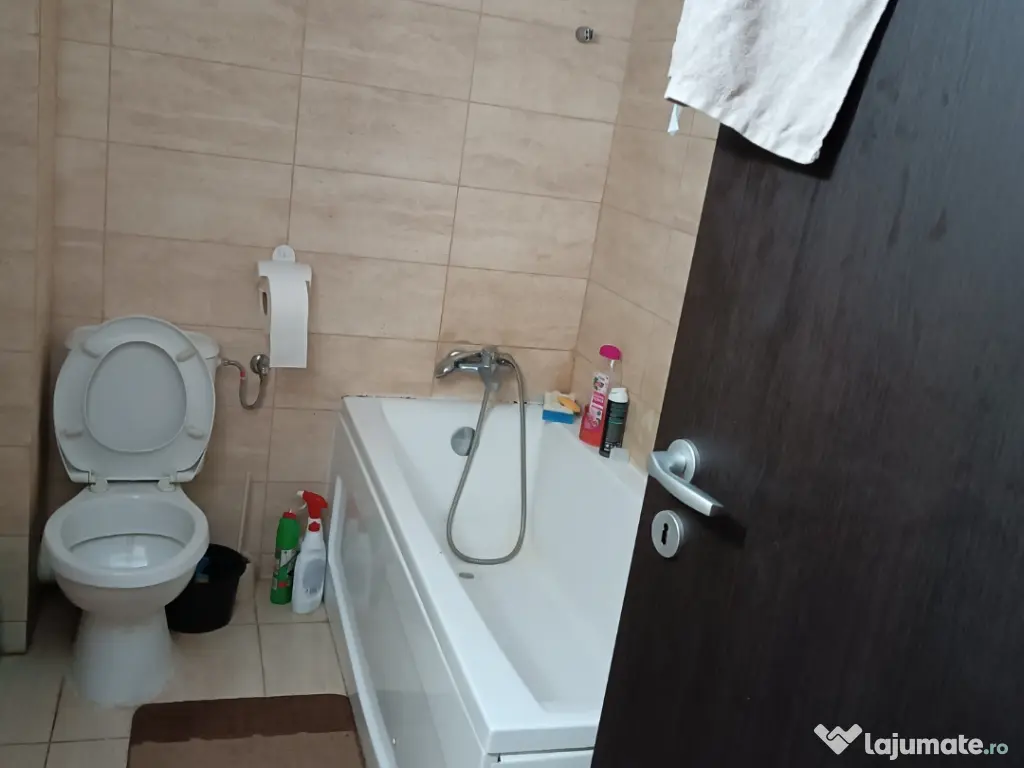 Vand garsoniera spațioasă central