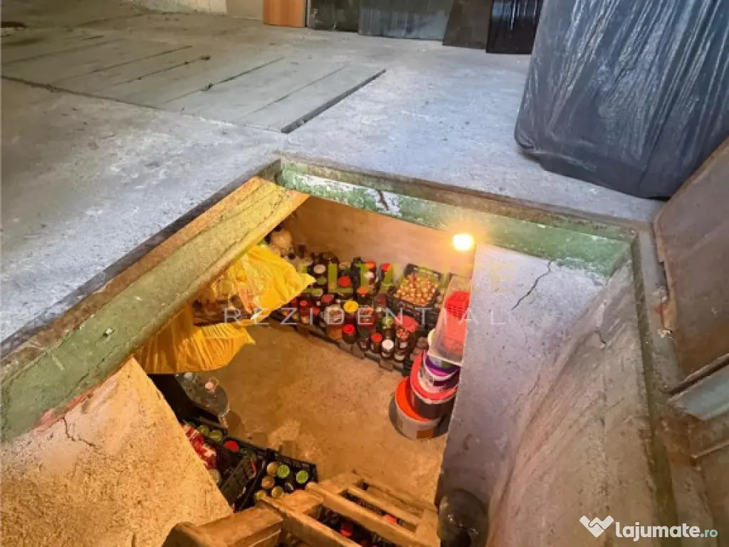 Anghel Saligny | Casa | 754mp teren - Pallady 