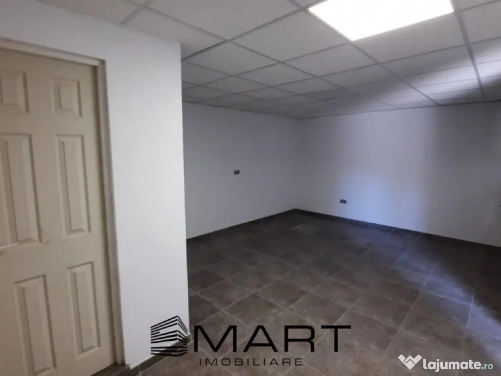 Hala depozitare 800 mp zona Turnisor 