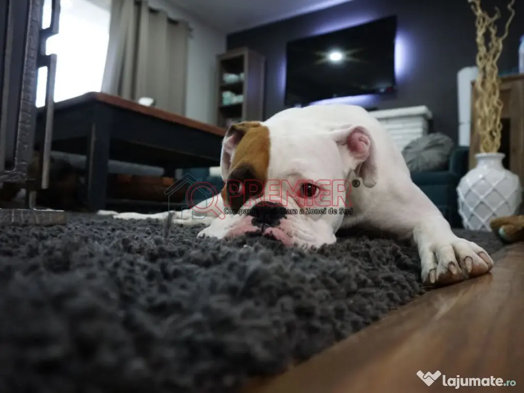 2 Camere Grand Arena | Mutare imediata 