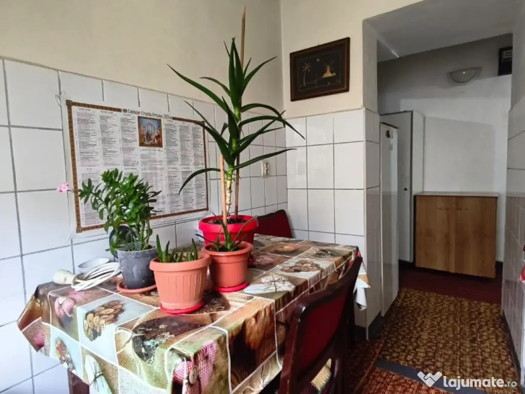 Apartament 2 camere in Deva, Etaj 1 – zona Eminescu – Maxxa 