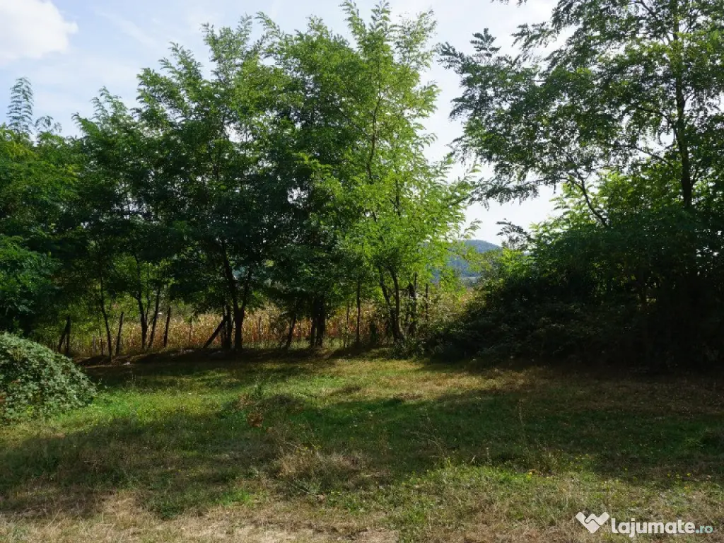 TEREN IDEAL PENTRU A-FRAME SAU UN CONTAINER MODERN 