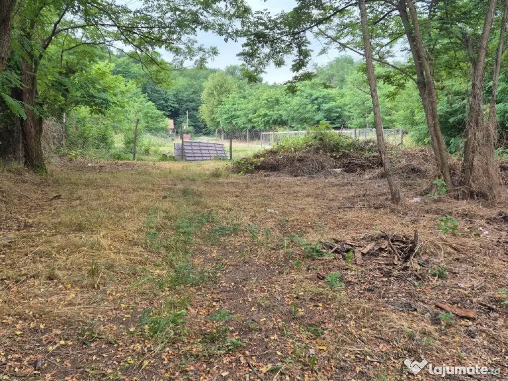 TEREN IDEAL PENTRU A-FRAME SAU UN CONTAINER MODERN 