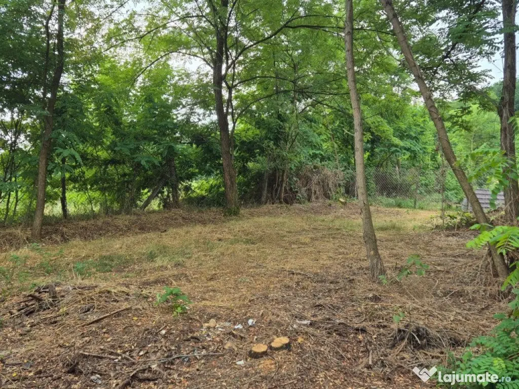 TEREN IDEAL PENTRU A-FRAME SAU UN CONTAINER MODERN 