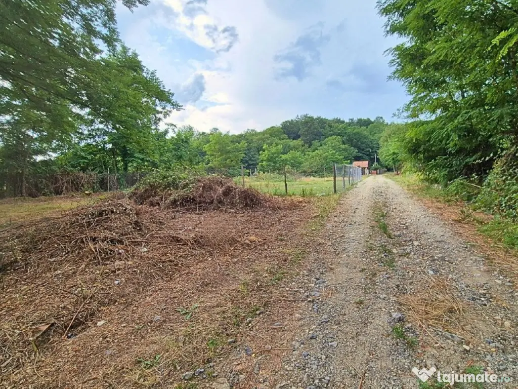 TEREN IDEAL PENTRU A-FRAME SAU UN CONTAINER MODERN 