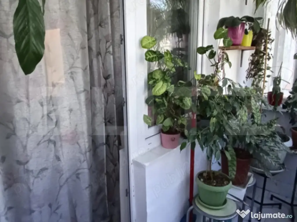 Apartament 2 camere, etaj 2/4, Calea Aradului 