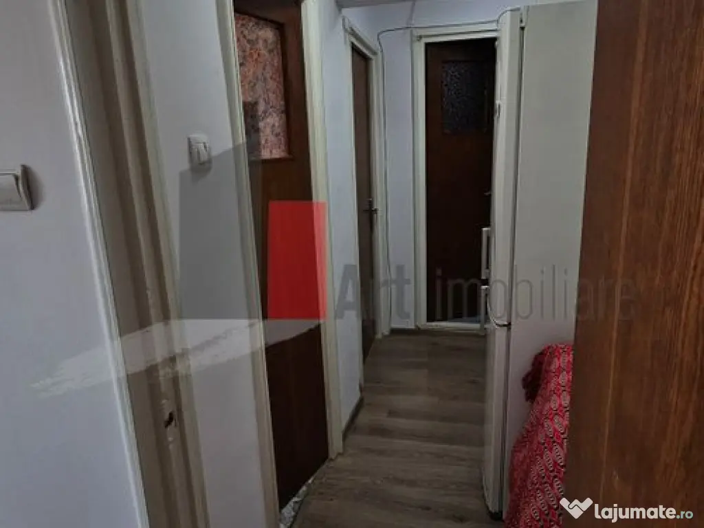 Drumul Taberei - Raul Doamnei