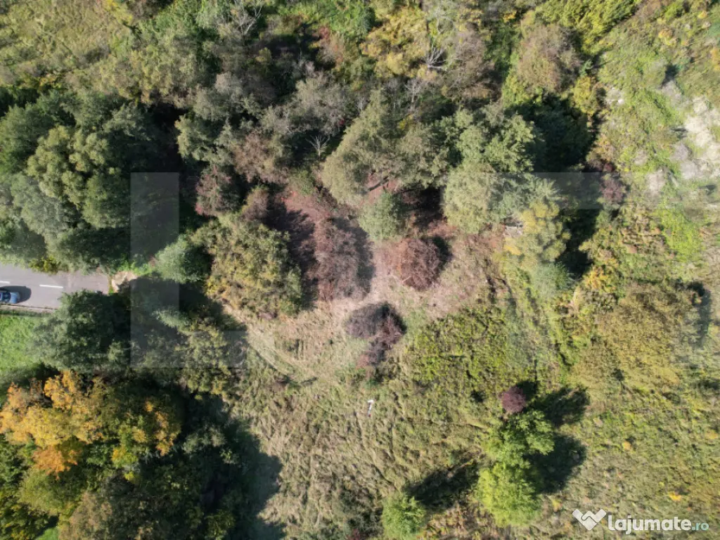 Teren 1023 mp în Cluj-Napoca, zona Câmpului – oportunita 