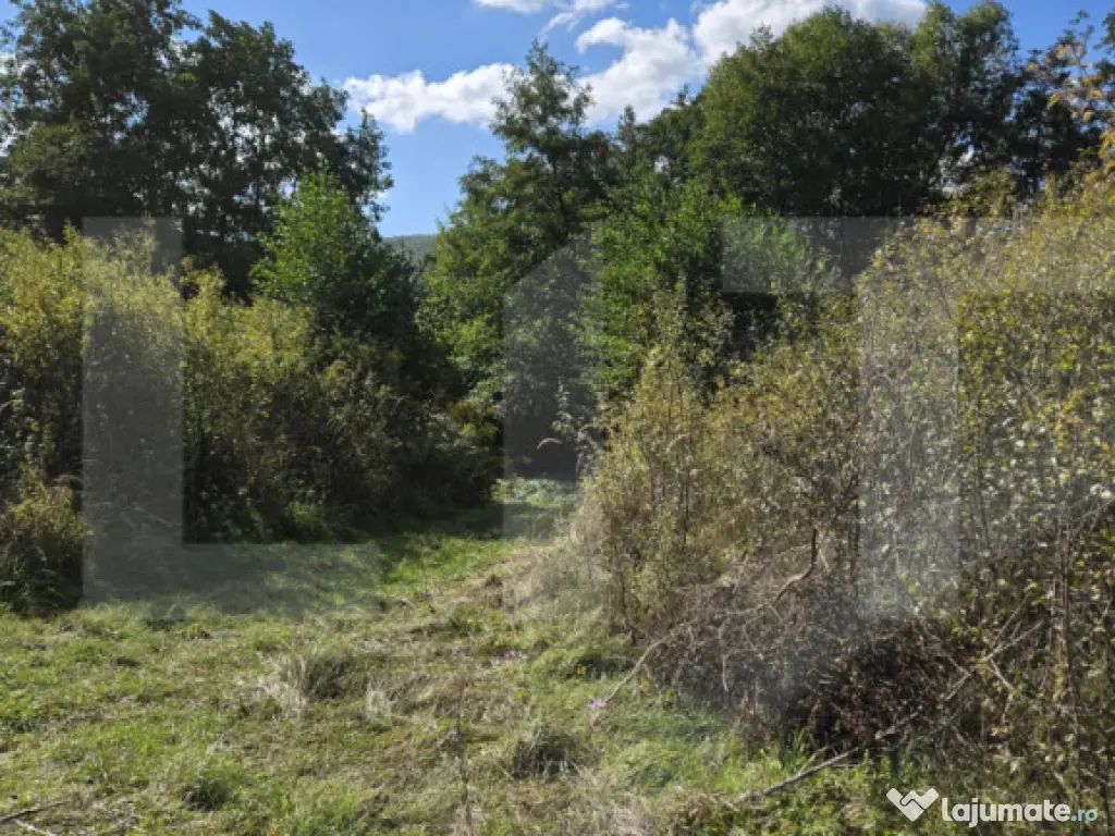 Teren 1023 mp în Cluj-Napoca, zona Câmpului – oportunita 