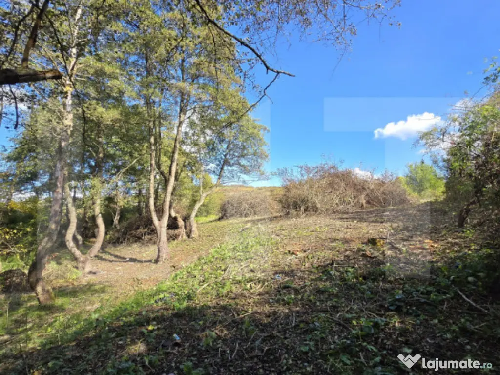 Teren 1023 mp în Cluj-Napoca, zona Câmpului – oportunita 