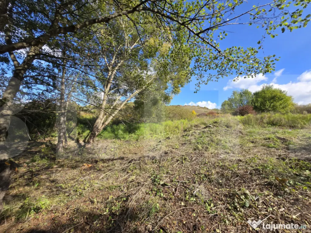 Teren 1023 mp în Cluj-Napoca, zona Câmpului – oportunita 