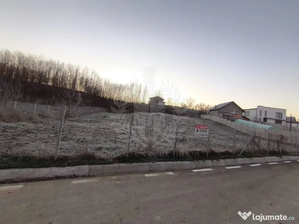 TEREN INTRAVILAN//COM. PLOPU//1300//2700 MP 