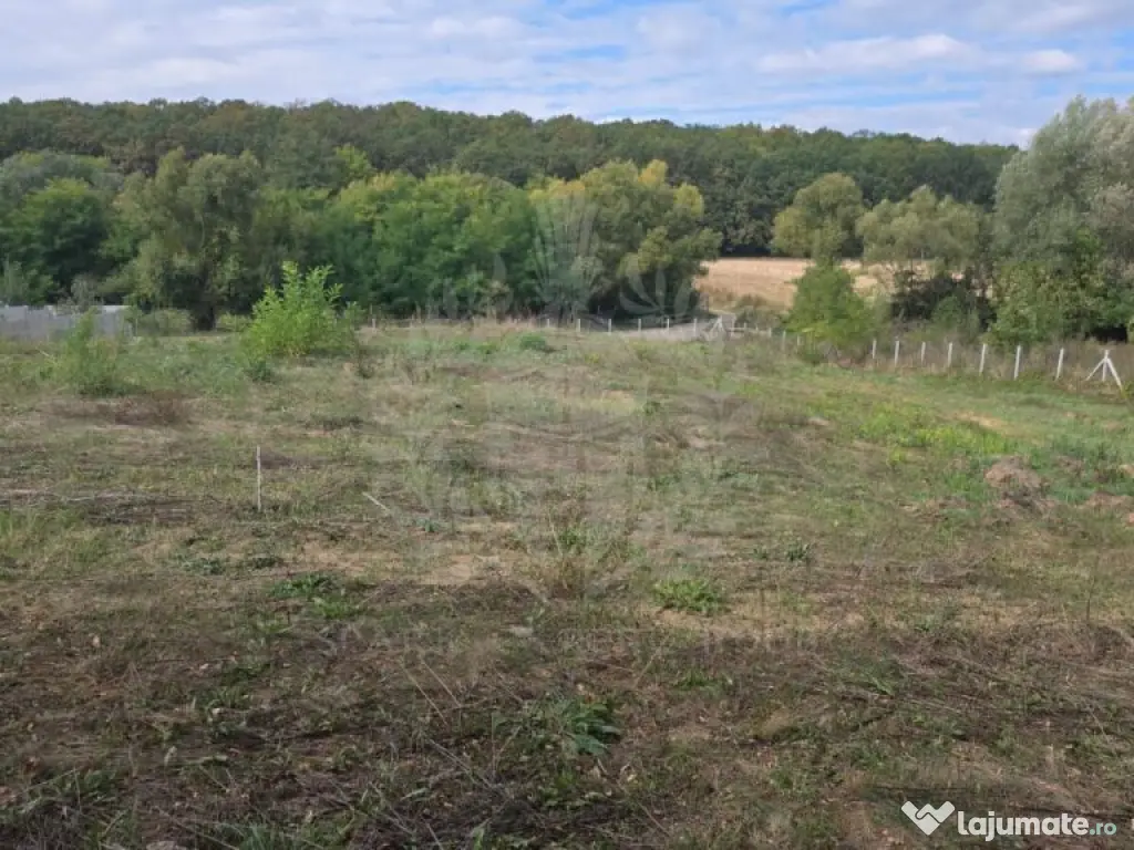 TEREN INTRAVILAN//COM. PLOPU//1300//2700 MP 