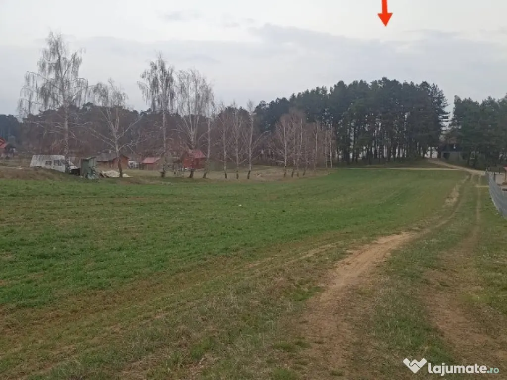 De vânzare terenuri intravilane în Reci