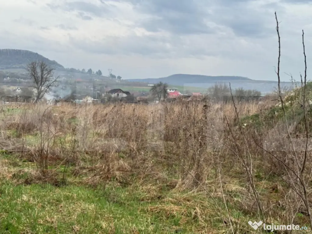 Teren Pentru Constructii 9292 mp- zona Cuzdrioara 