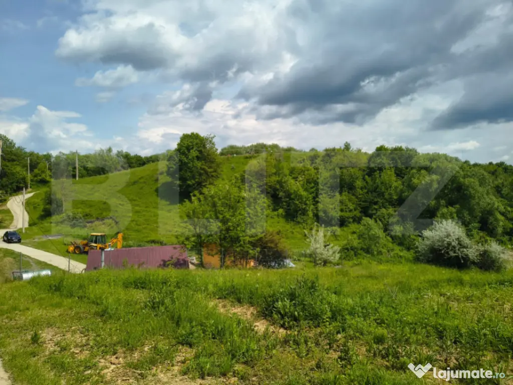 TEREN ideal CASA VACANTA,CASA LOCUIT ,ZONA SUBCARPATICA Vale 