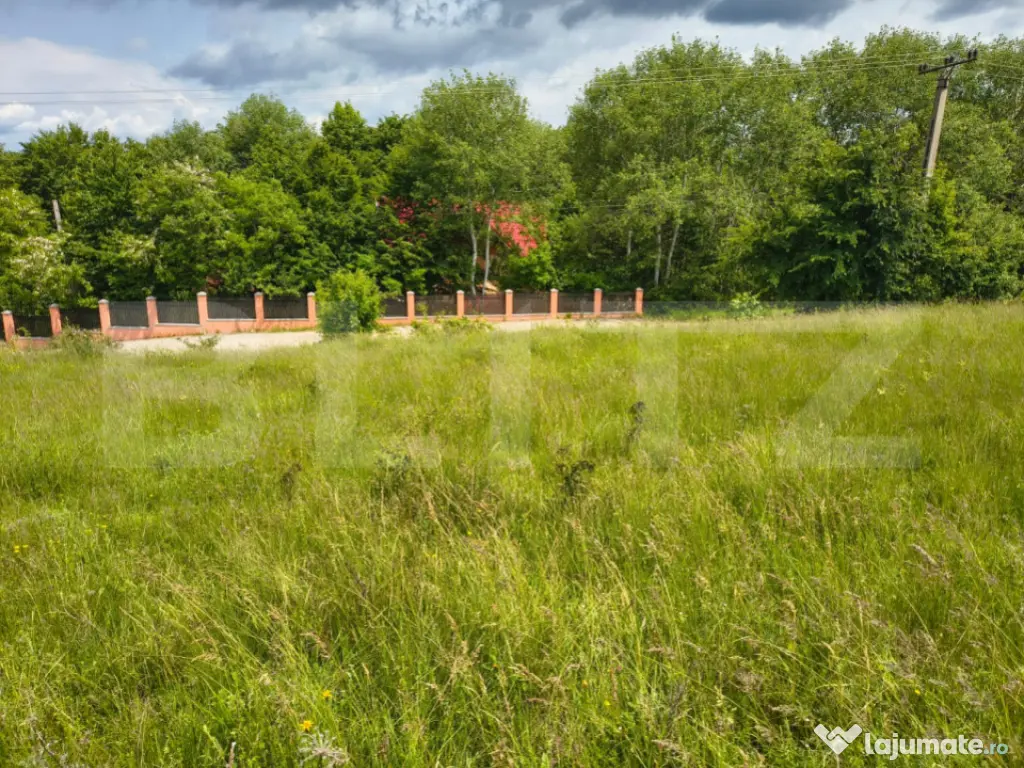 TEREN ideal CASA VACANTA,CASA LOCUIT ,ZONA SUBCARPATICA Vale 