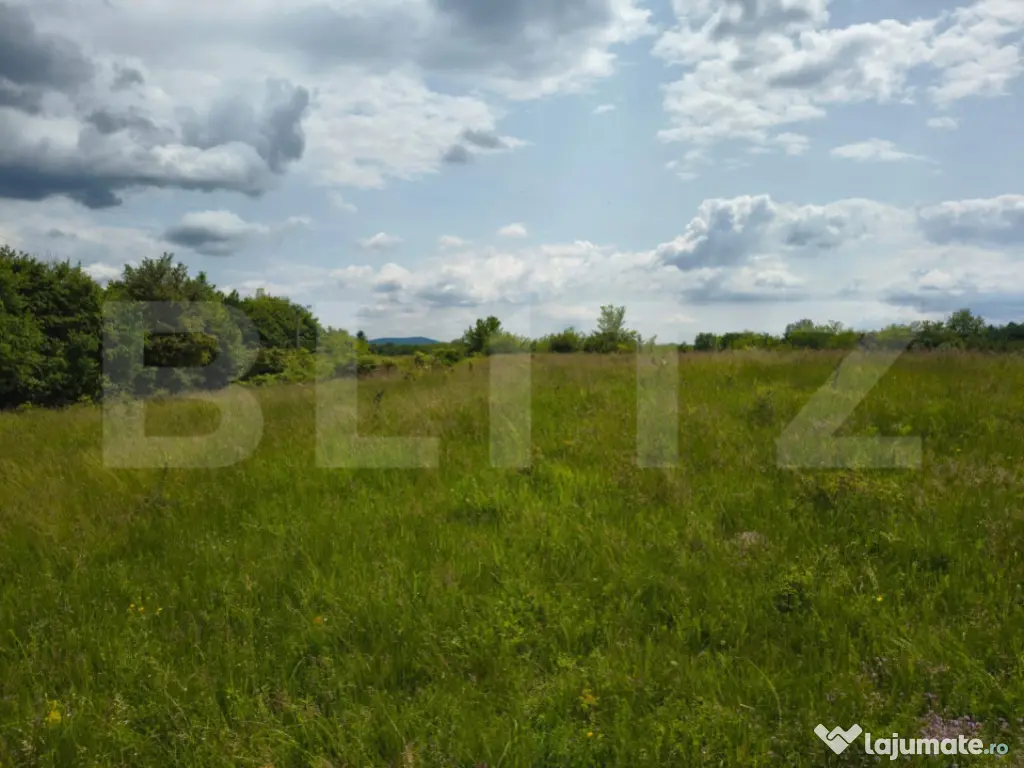 TEREN ideal CASA VACANTA,CASA LOCUIT ,ZONA SUBCARPATICA Vale 