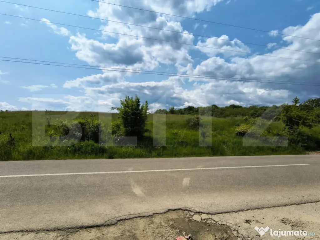 TEREN ideal CASA VACANTA,CASA LOCUIT ,ZONA SUBCARPATICA Vale 