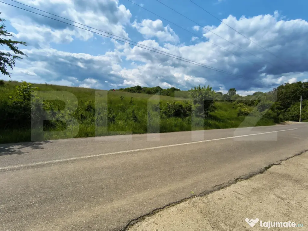 TEREN ideal CASA VACANTA,CASA LOCUIT ,ZONA SUBCARPATICA Vale 