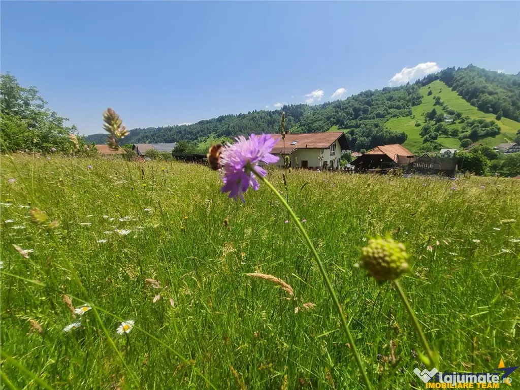 FILM!View superb catre munti,teren pretabil constructie Hote 