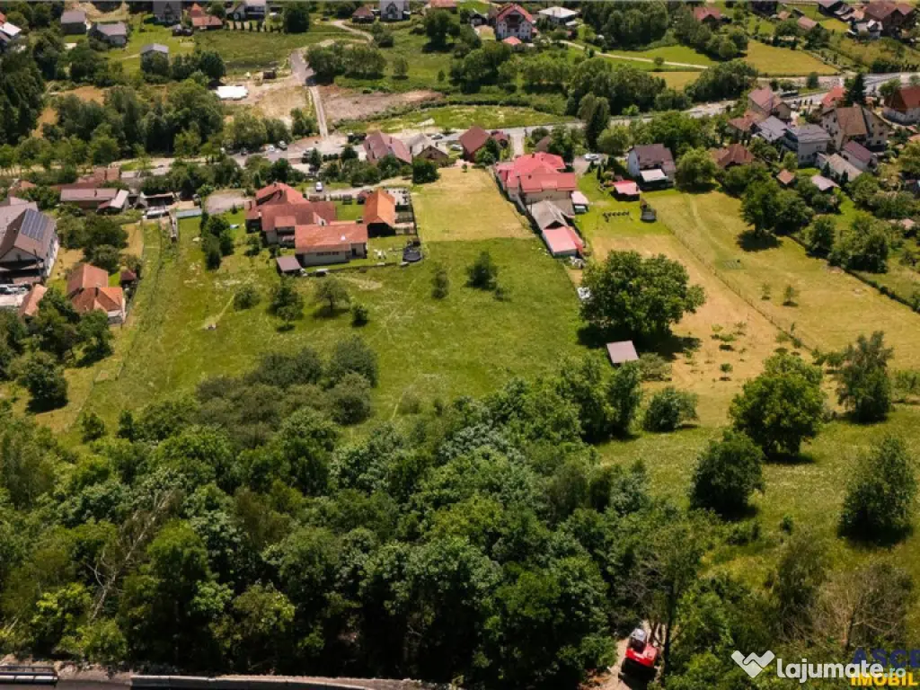 FILM!View superb catre munti,teren pretabil constructie Hote 