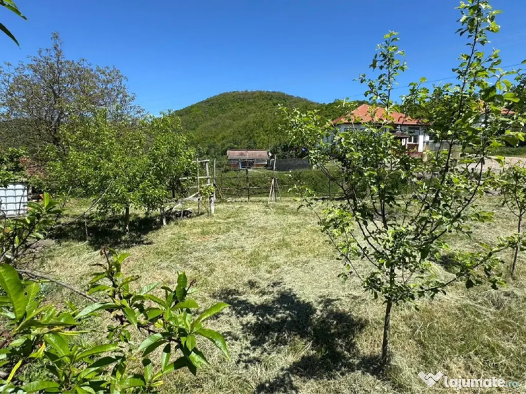 Teren Intravilan in mijlocul satului Magura-Toplita 