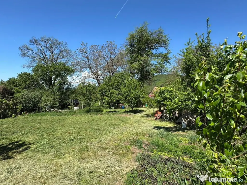 Teren Intravilan in mijlocul satului Magura-Toplita 