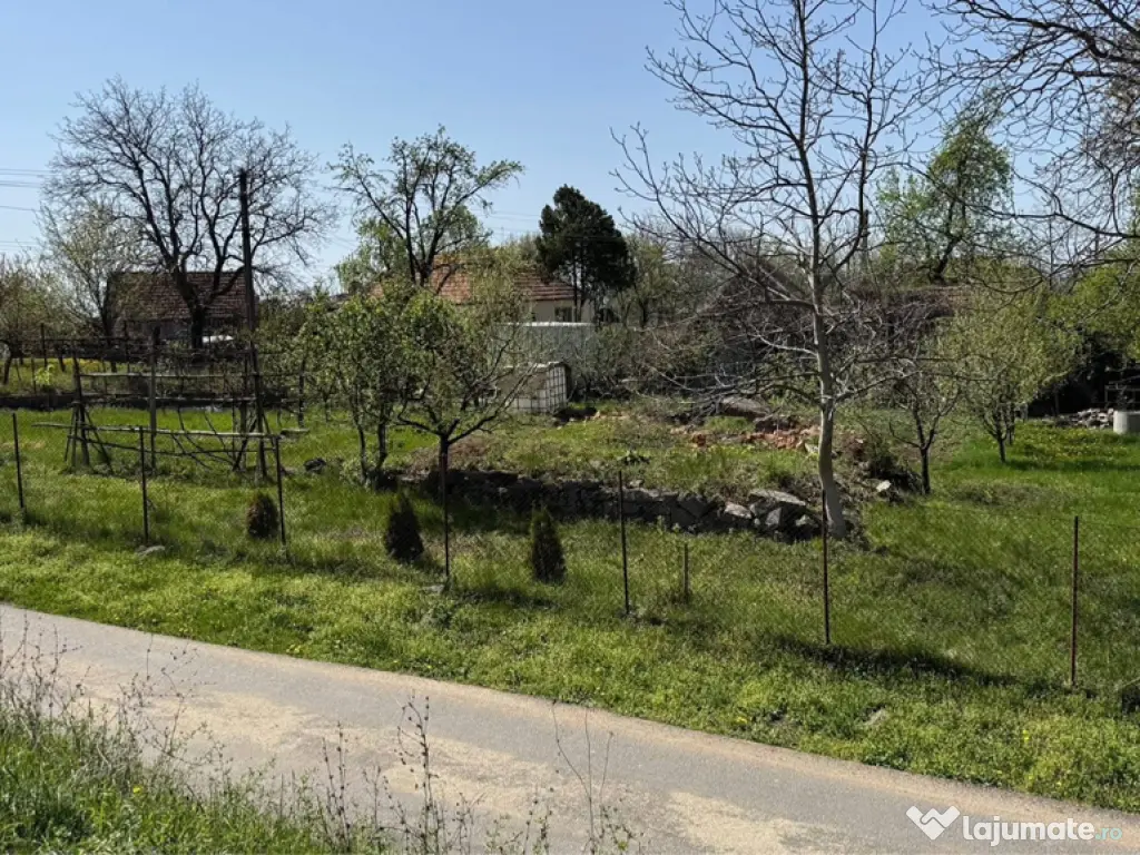 Teren Intravilan in mijlocul satului Magura-Toplita 