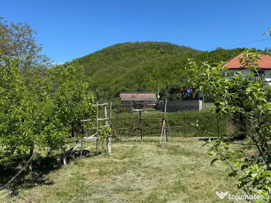Teren Intravilan in mijlocul satului Magura-Toplita 