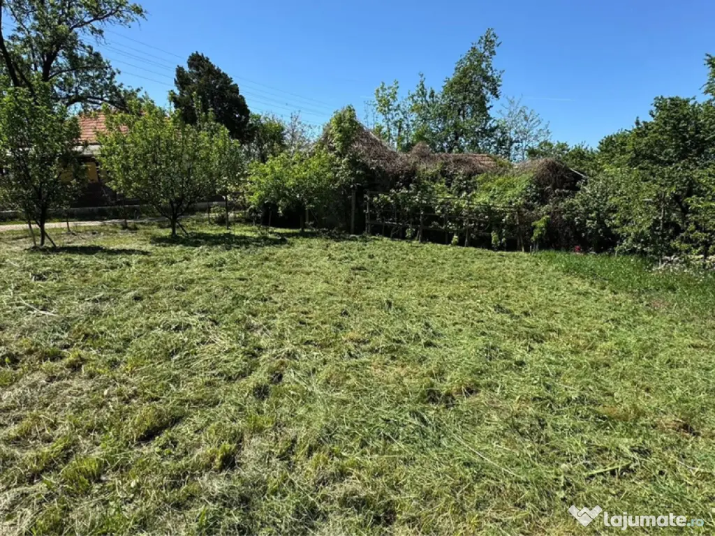 Teren Intravilan in mijlocul satului Magura-Toplita 