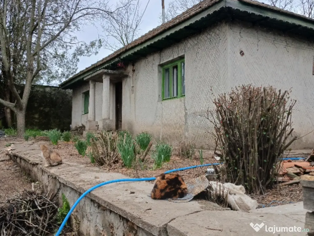 casa din piatra locuibila,42km de Mangalia,63km de Constanta 