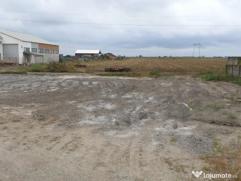 Teren 2 ha. zona Gradiste - ID : RH-11956-property