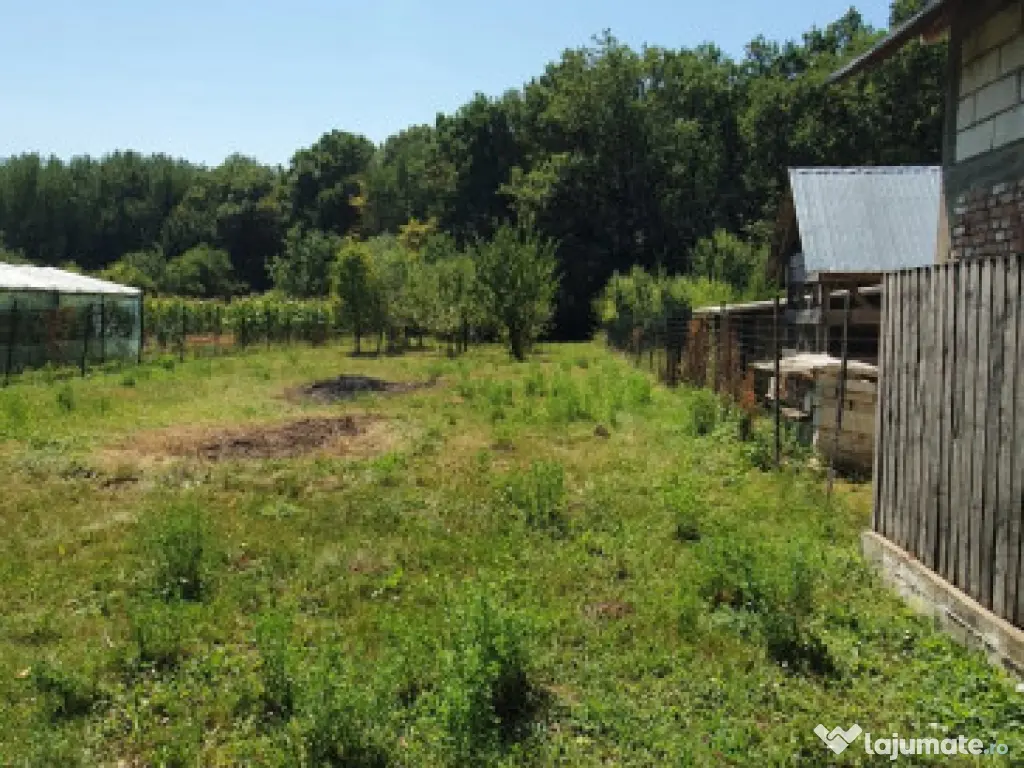 Cocorastii Colt intravilan 1381 mp , stradal, intre case la