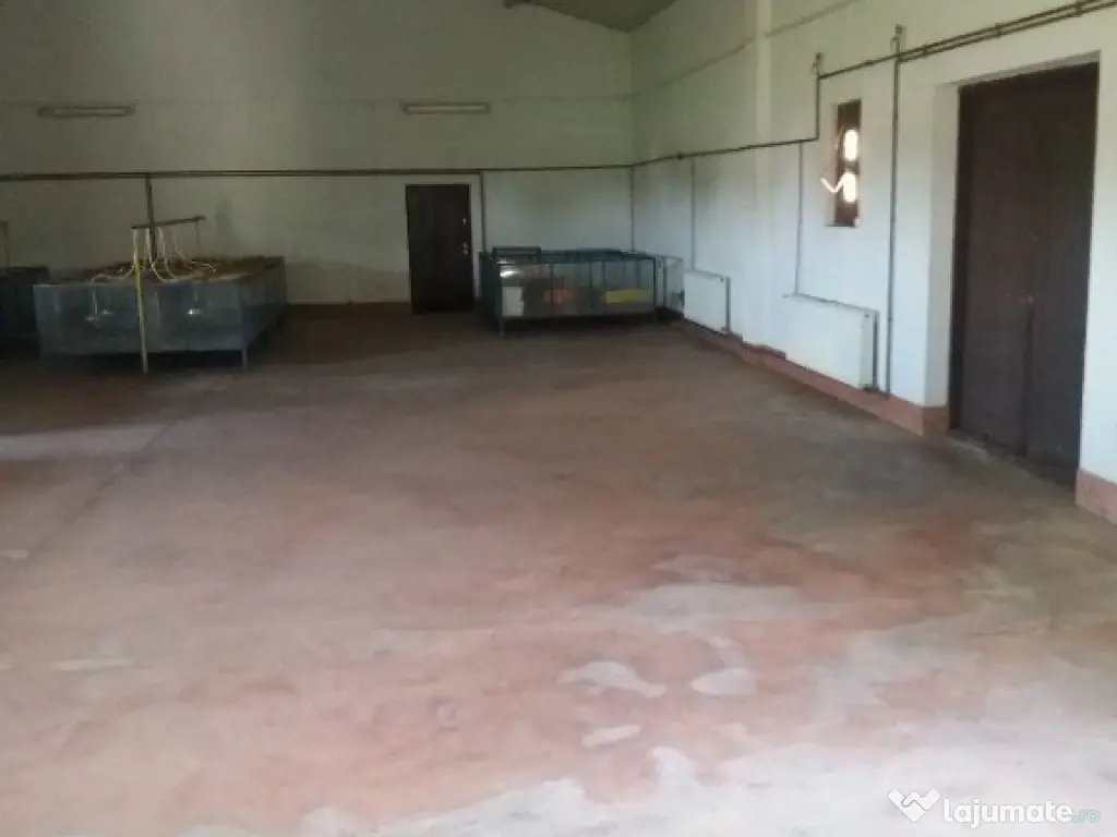 Hala 400mp 8km Braila 