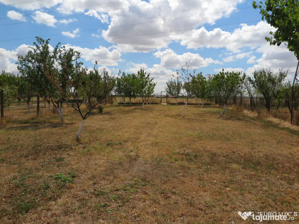 Loc de casa - Zona Aradul Nou 