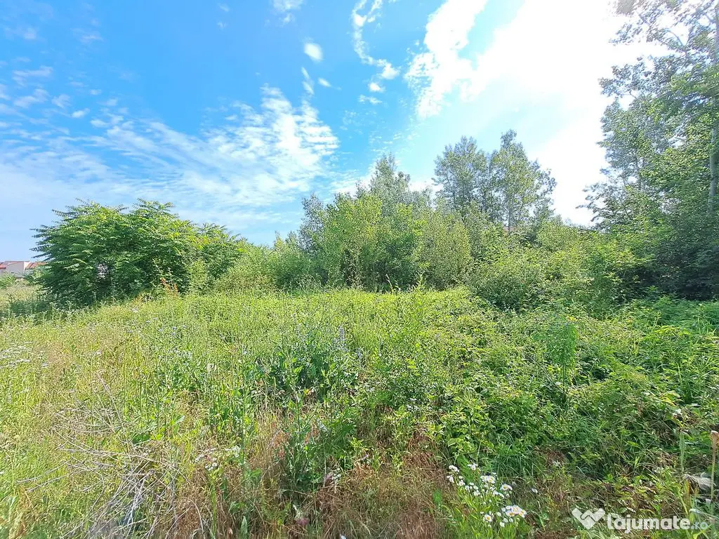 Teren intravilan - str. Salubritatii