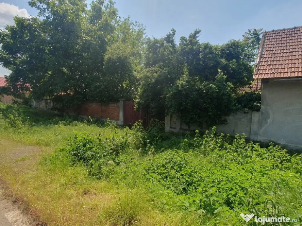 Casa din caramida in Macea - ID : RH-37627-property